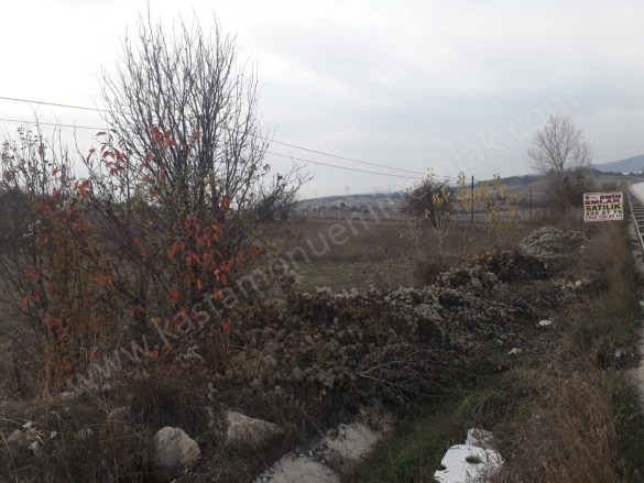 Merkez Kastamonu Satılık Tarla |  2452M2 5.275.000Tl Resim-5