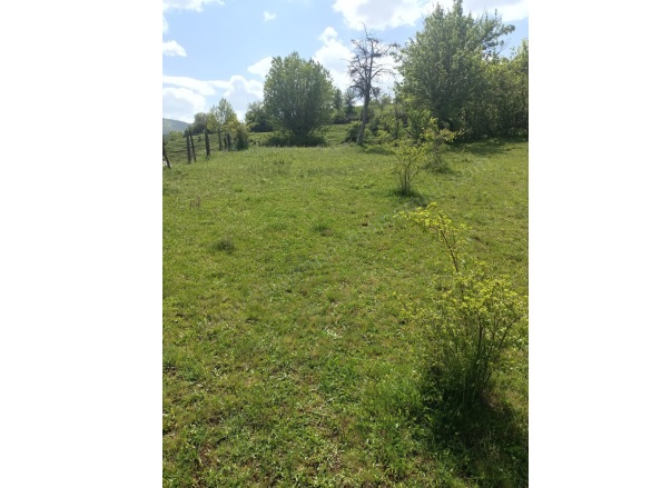 Merkez Kastamonu Satılık Tarla |  641M2 500.000Tl Resim-1