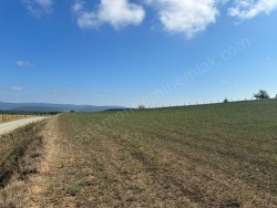 Merkez Merkez Satılık Tarla 7224 M2