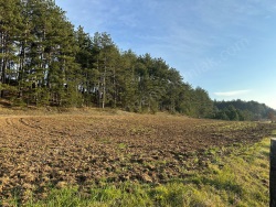 Merkez Merkez Satılık Tarla 1581 M2