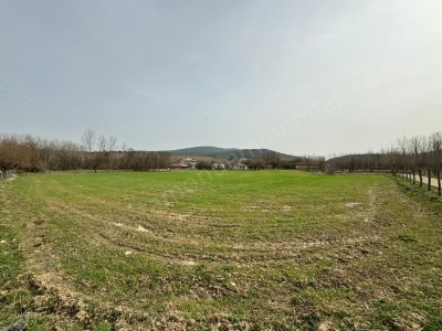 Daday Küten Köyünde Satılık Arsa Köyiçi İmarlı Lar Merkez