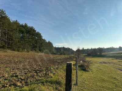 Ackerland Kaufen In  Türkei, Kastamonu, Zentrum, Zentrum , 1581 m2