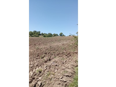 Merkez Karakuz Köyünde Satılık Tarla