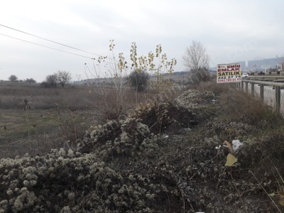 İnebolu Yoluna Cepheli Satılık Tarla Fırsatlı Merkez