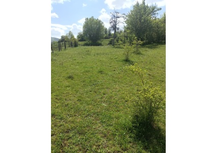 İstanbul Yolu Üzeri Gölkıyık Köyünde Köyiçi İmarlı Satılık Tarla Merkez