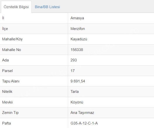 Kayadüzü Merzifon Satılık Tarla |  9691M2 2.750.000Tl Resim-2