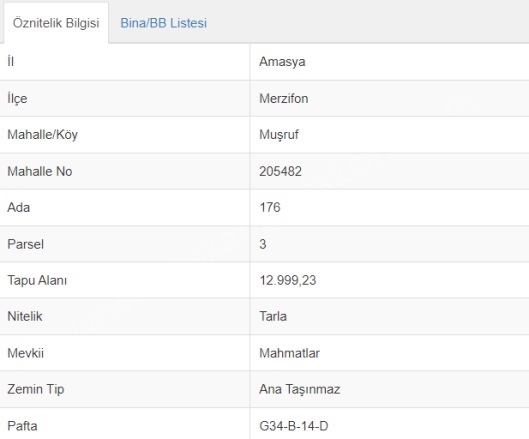Muşruf Köyü Merzifon Satılık Tarla |  12999M2 4.000.000Tl Resim-1