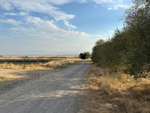 Muşruf Köyü Merzifon Satılık Tarla |  12999M2 4.000.000Tl Resim-4