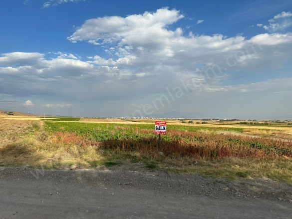 Muşruf Köyü Merzifon Satılık Tarla |  12999M2 4.000.000Tl Resim-5