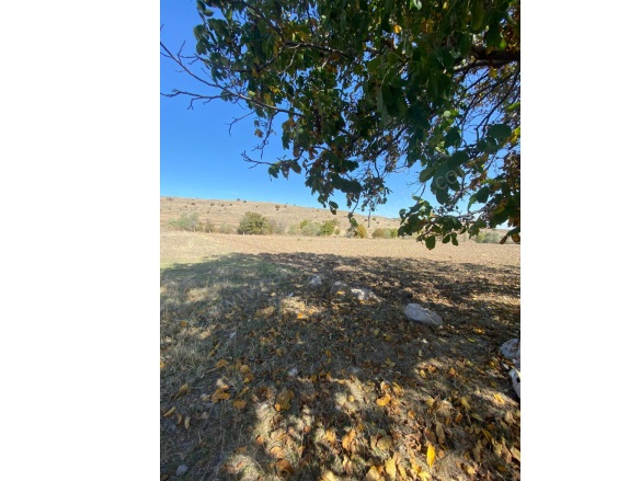 Çaybaşı Köyü  Merzifon Satılık Tarla |  9332M2 950.000Tl Resim-2