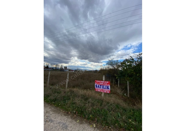 Bahçeçik Merzifon Satılık Bağ |  985M2 1.600.000Tl Resim-1