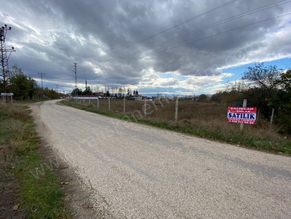 Bahçeçik Merzifon Satılık Bağ |  985M2 1.600.000Tl Resim-3