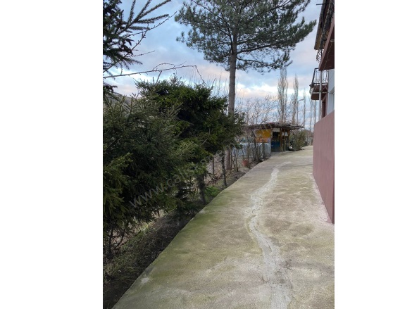 Kayadüzü Merzifon Satılık Tarla |  5319M2 11.000.000Tl İmarlı  Resim-3