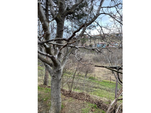 Kayadüzü Merzifon Satılık Tarla |  5319M2 11.000.000Tl İmarlı  Resim-5