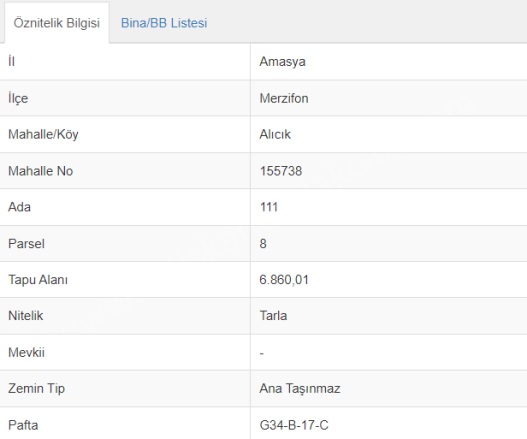 Alıcık Köyü Merzifon Satılık Tarla |  6860M2 2.750.000Tl Resim-2