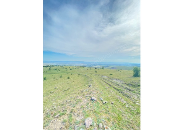 Aksungur Köyü  Merzifon Satılık Tarla |  29634M2 10.000.000Tl Resim-3