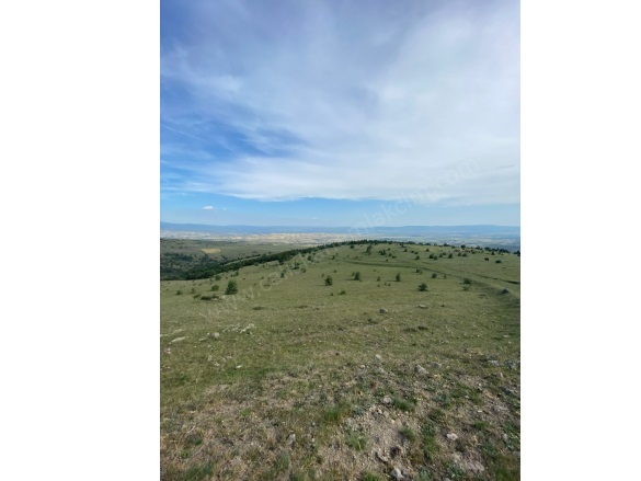 Aksungur Köyü  Merzifon Satılık Tarla |  29634M2 10.000.000Tl Resim-5