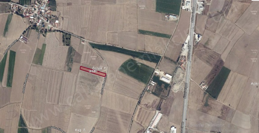 Sazlıca Köyü  Merzifon Satılık Tarla |  5307M2 1.850.000Tl Resim-2