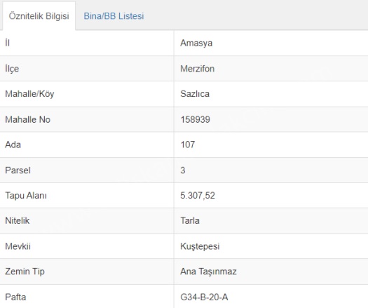 Sazlıca Köyü  Merzifon Satılık Tarla |  5307M2 1.850.000Tl Resim-3