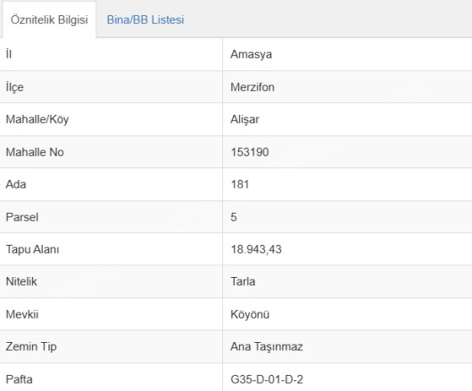 Alışar Köyü  Merzifon Satılık Tarla |  18942M2 9.500.000Tl İmarlı  Resim-3