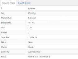 Merzifon Bahçeçik Satılık Tarla 13824 M2