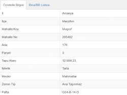 Merzifon Muşruf Köyü Satılık Tarla 12999 M2