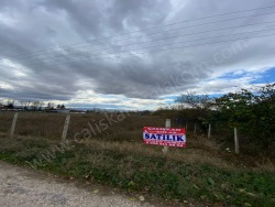 Merzifon Bahçeçik Satılık Bağ 985 M2