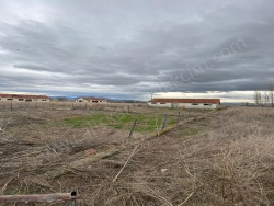 Merzifon Yolüstü Köyü  Kiralık Ahır 9197 M2