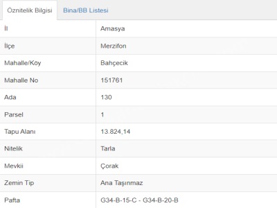 Hava Alanı Yolu Üstü Satılık Tarla (Bağ Yeri) Merzifon Bahçeçik