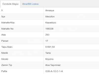 Field For Sale in  Turkey, Amasya, Merzifon, Kayaduzu , 9691 m2