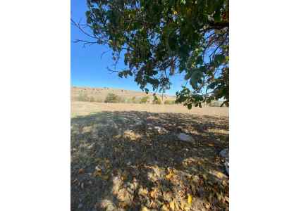 Field For Sale in  Turkey, Amasya, Merzifon, Caybasi Koyu  , 9332 m2