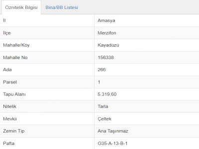 İpekyolu Tesisleri Arkası Satılık Tarla 5 300M2 Villa Merzifon Kayadüzü