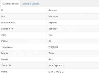 Field For Sale in  Turkey, Amasya, Merzifon,  , 2306 m2