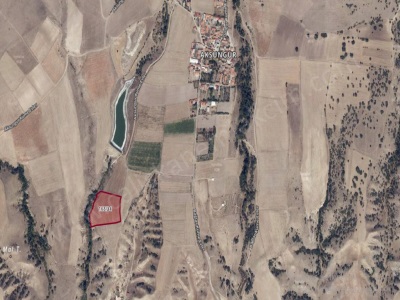 Satılık Tarla 15 050 M2 Yatırımlık Merzifon Aksungur Köyü