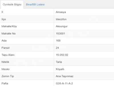 Field For Sale in  Turkey, Amasya, Merzifon, Aksungur Koyu  , 15050 m2