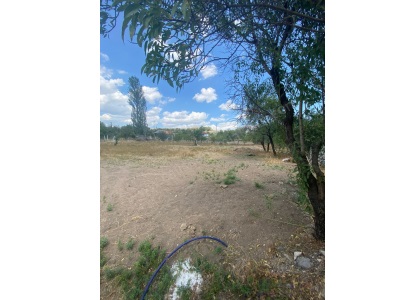 Kutlubey Koleji Yanı Satılık Bağ Yeri Merzifon Karamustafapaşa Köyü