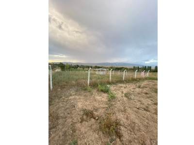 Han Köy Girişi Etrafı Telle Çevrili Yeri Satılık Bağ Merzifon