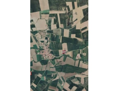 Han Köy İçi Satılık Tarla Arsa Yeri Merzifon