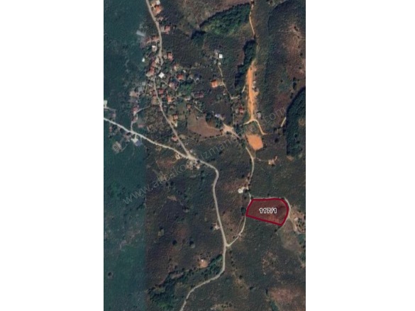 Ortanca Akçakoca Satılık Fındıklık |  8882M2 6.250.000Tl Resim-2