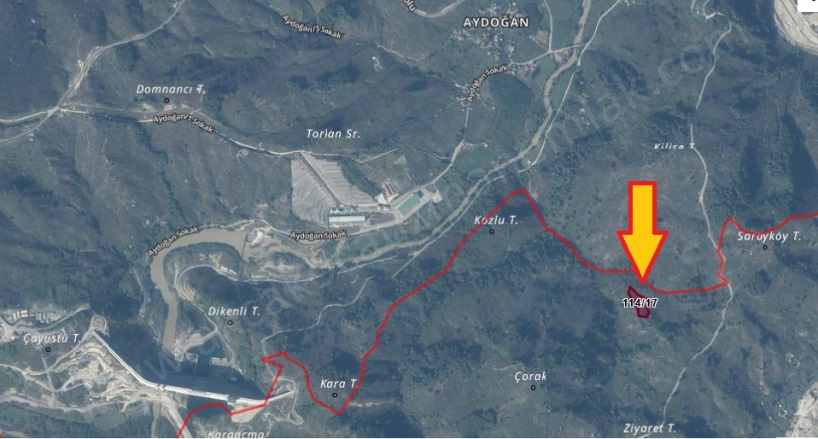 Esmahanım Akçakoca Satılık Fındıklık |  5000M2 1.750.000Tl Resim-4