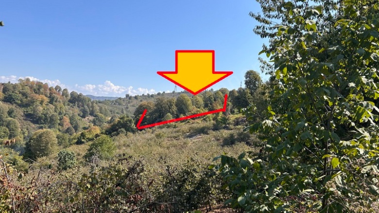 Beyören Akçakoca Satılık Arsa |  5774M2 3.100.000Tl Resim-4