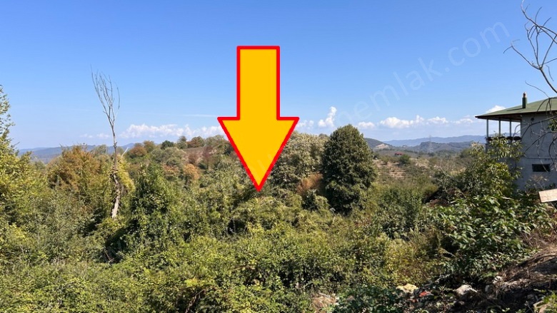 Beyören Akçakoca Satılık Arsa |  5774M2 3.100.000Tl Resim-5