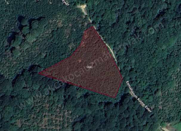 Kurukavak Köyü Yakını Yol Kenarı Satılık Fındıklık Akçakoca Esmahanım