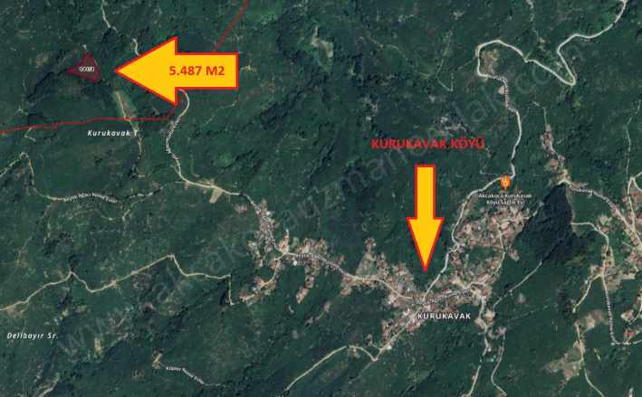 Kurukavak Köyü Yakını Yol Kenarı Satılık Fındıklık Akçakoca Esmahanım