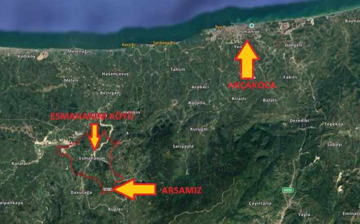 Kurukavak Köyü Yakını Yol Kenarı Satılık Fındıklık Akçakoca Esmahanım