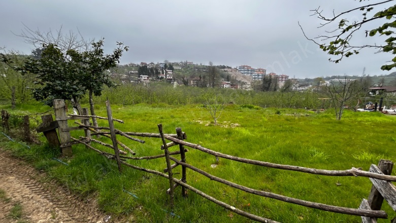 Doğancılar Akçakoca Satılık Arsa |  50026M2 3.600.000Tl İmarlı  Resim-3