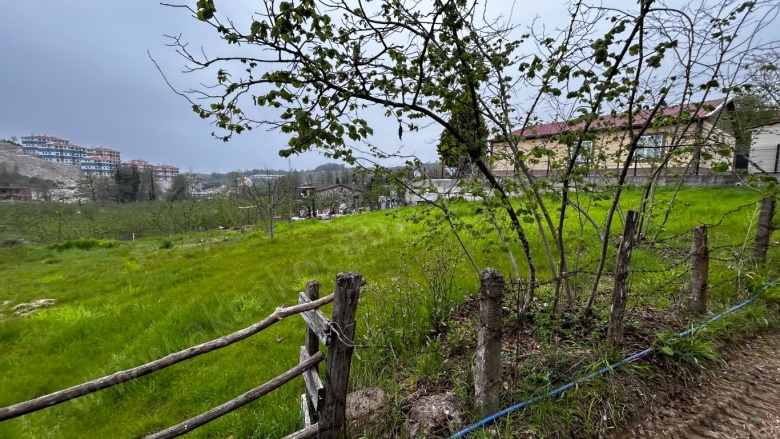 Doğancılar Akçakoca Satılık Arsa |  50026M2 3.600.000Tl İmarlı  Resim-4