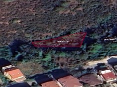 Ereğli Yolu Denize Yakın Arsa