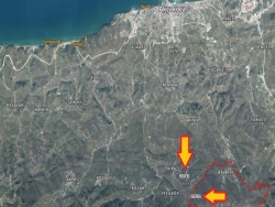 Akçakoca Kirazlı Satılık Fındıklık 9150 M2