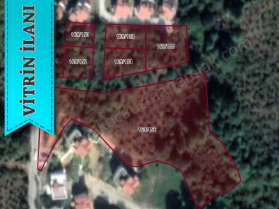 Ayazlı Akevler Mevkii Deniz Gören 7 Dönüm İmarlı Satılık Arsa Akçakoca